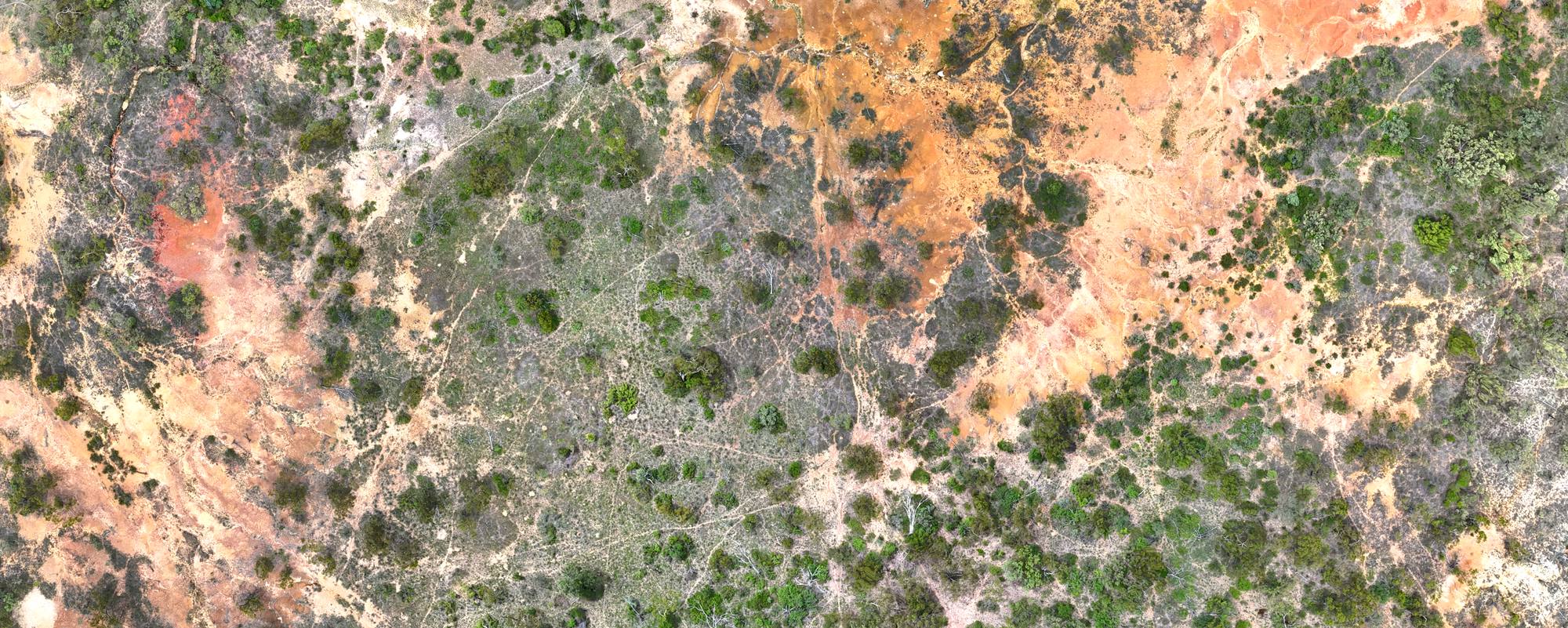 Aerial orthomosaic of a rehabilitation area: regenerating scrub across bare orange ground, with a watercourse running through it.